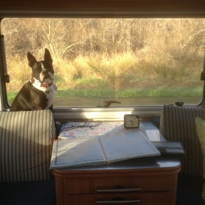 travelleronthew