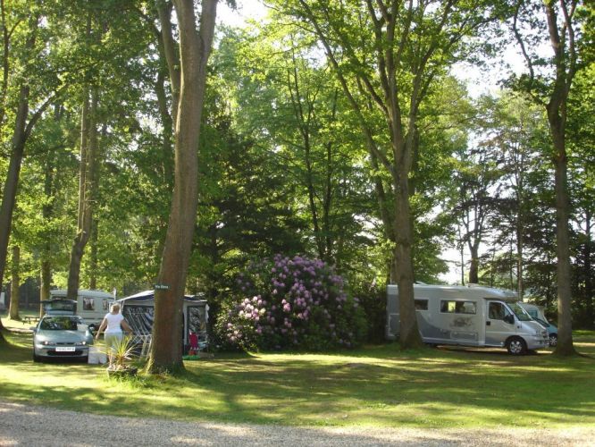 Alpine Grove Touring park