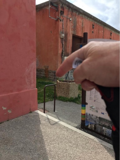 thumb