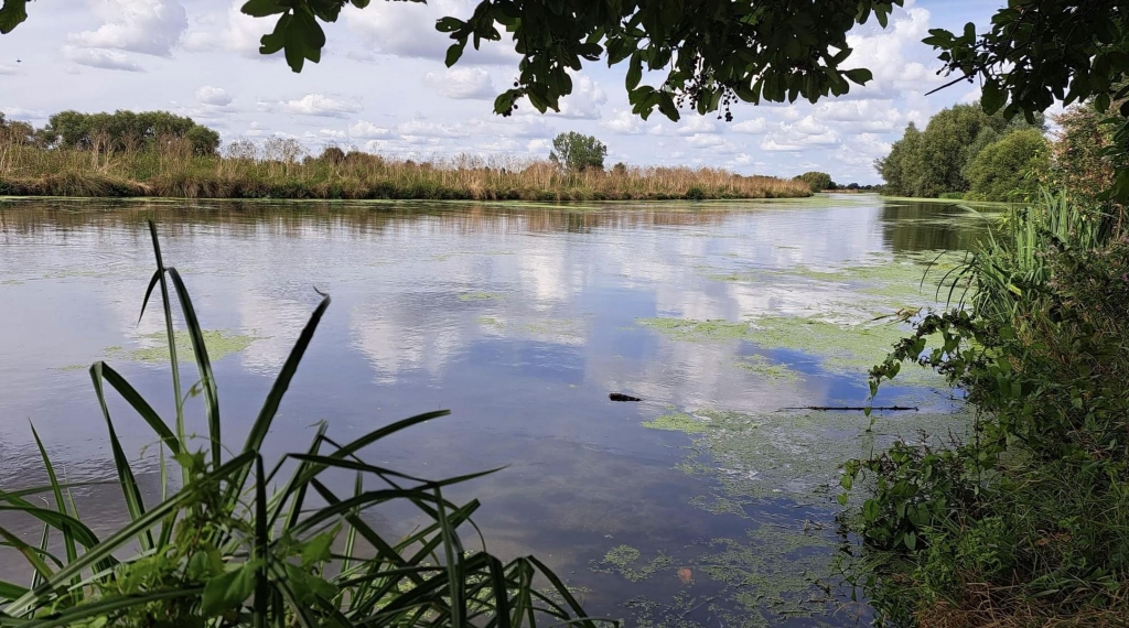 Kingfishers Bridge Nature Reserve
