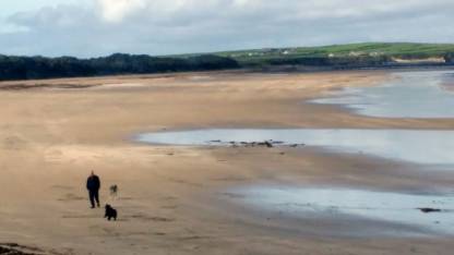 A lunchtime summary of content highlights on the Irish Examiner website. Delivered at 1pm each day. Sign up. Garda make further arrest in connection with Carrigaline